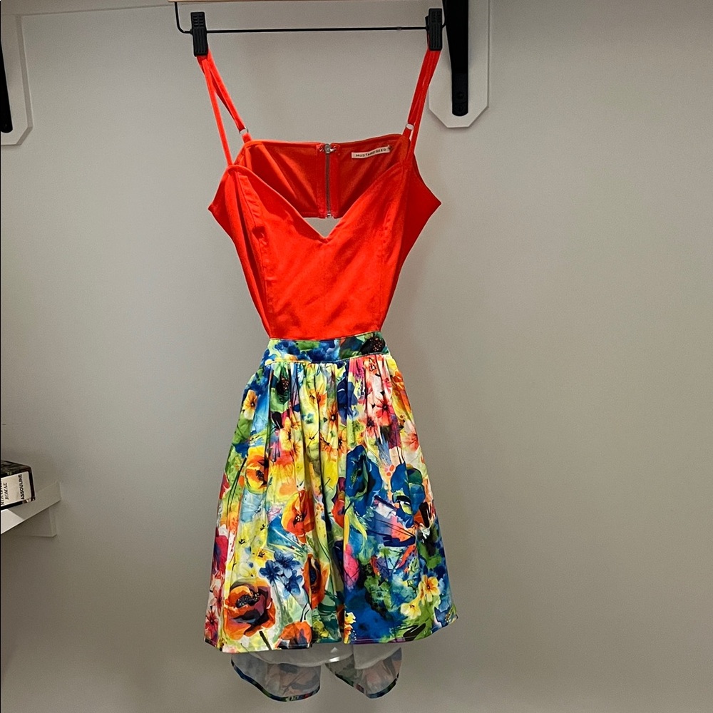 Mustard Seed Red and Multicolor Dress